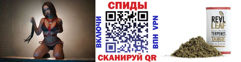 Бутират 1.4BDO где продают наркотики mega Братск