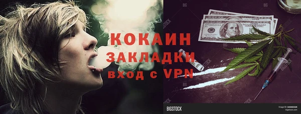 индика Абинск