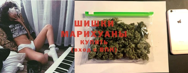 индика Абинск
