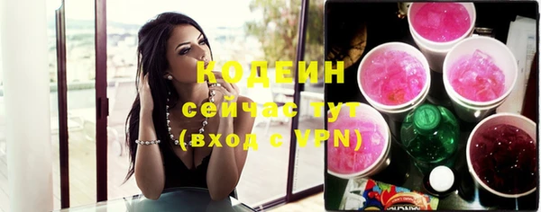 индика Абинск