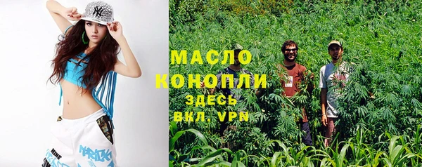 индика Абинск