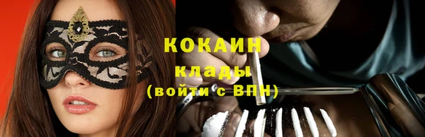 индика Абинск