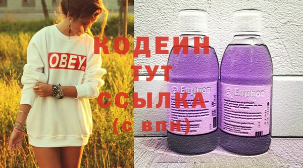 индика Абинск