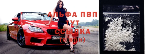 индика Абинск