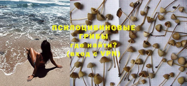 индика Абинск